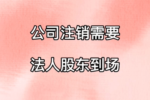 拉薩公司注銷，需要法人、股東到場嗎？