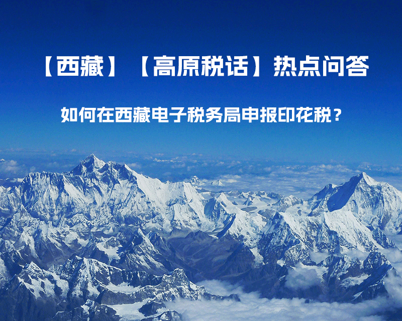 如何在西藏自治區電子稅務局申報印花稅？