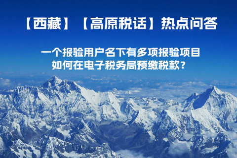 一個報驗用戶名下有多項報驗項目，如何在電子稅務局預繳稅款？