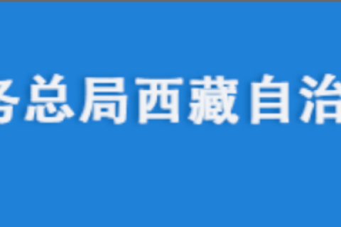 電腦更換后，自然人電子稅務局扣繳端申報收入額如何進行累計？