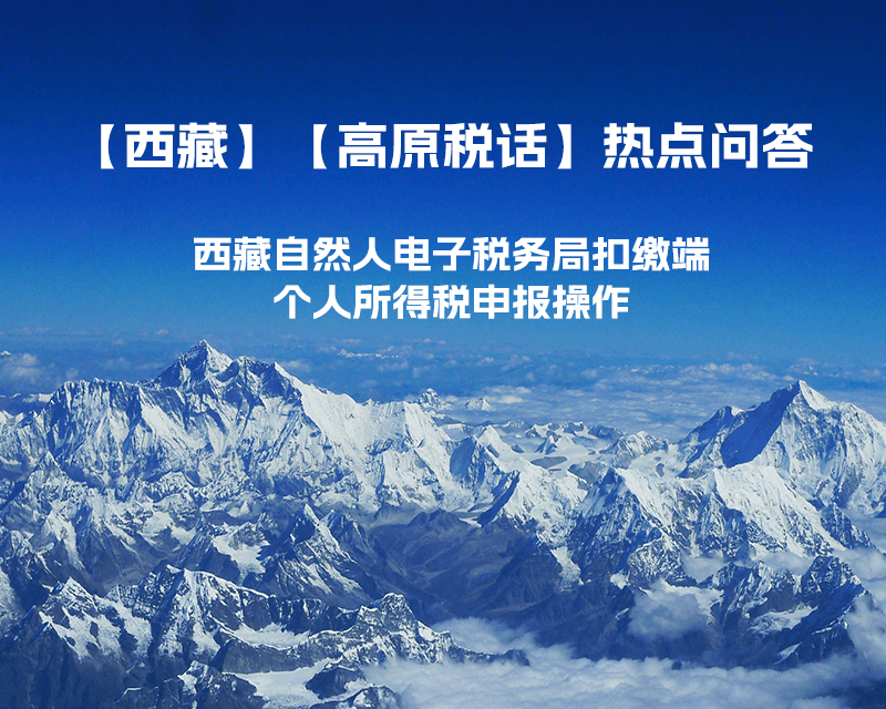 西藏自然人電子稅務局扣繳端個人所得稅申報操作